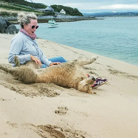 Barrow House 4* トラリー