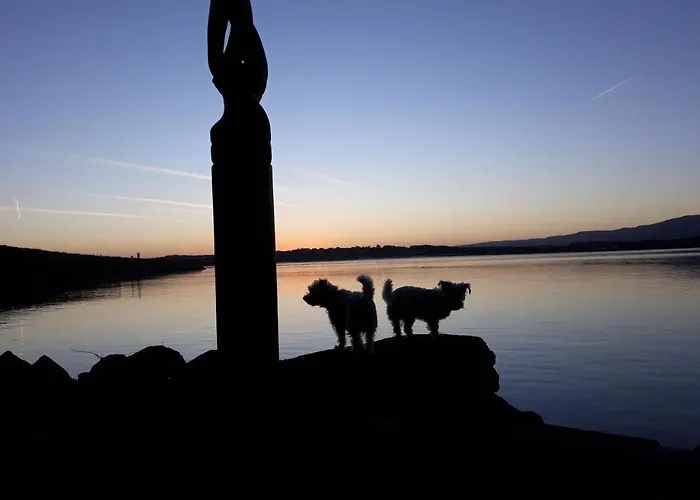 Barrow House 招待所 特拉利